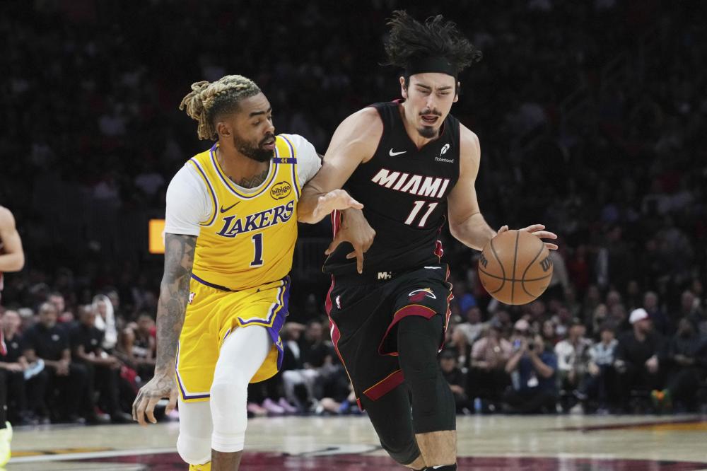 样性的发展 样性的发展